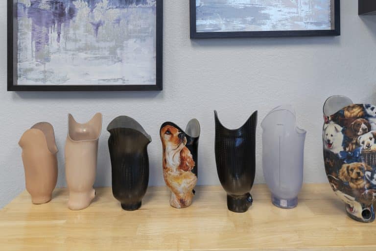 The Differences Between Pin-Lock, Suction, and Vacuum Prosthetic Suspension Systems